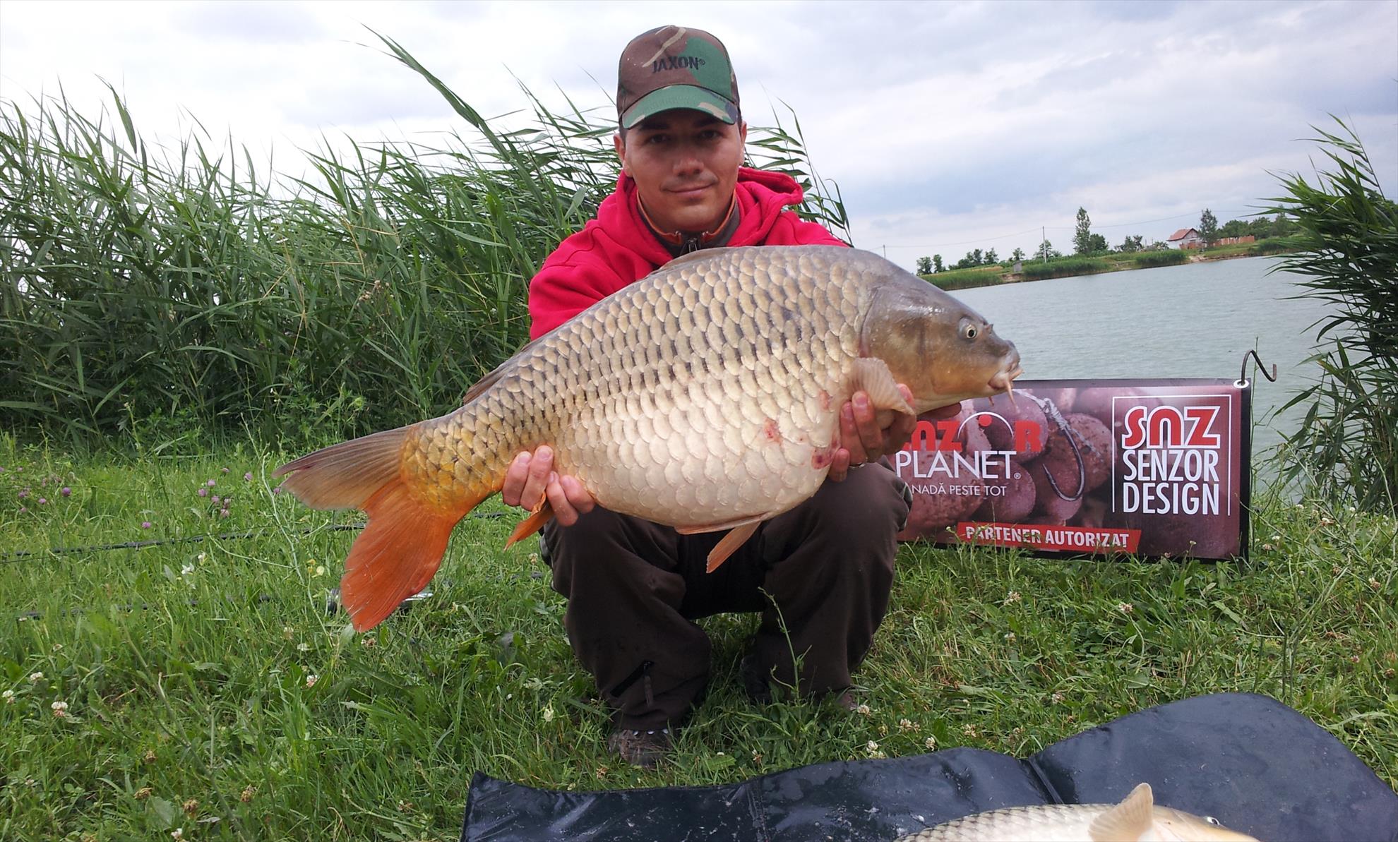 Silver  Ungaria 25 - 26 iul. - 20130626153413.jpg